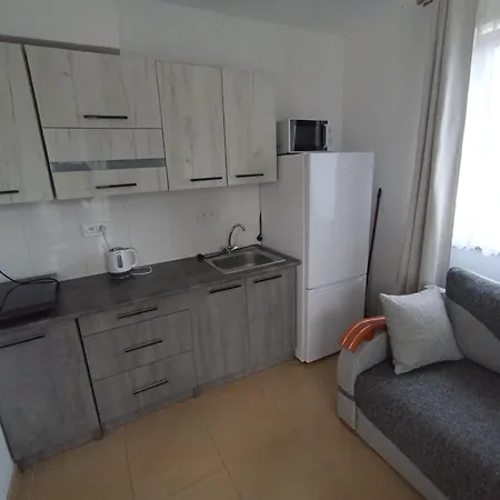 Za Stawem 招待所 萨比诺瓦