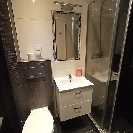 Za Stawem 招待所 萨比诺瓦