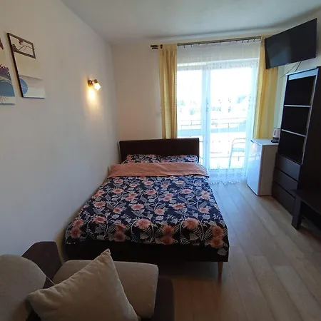 招待所 Za Stawem 3*